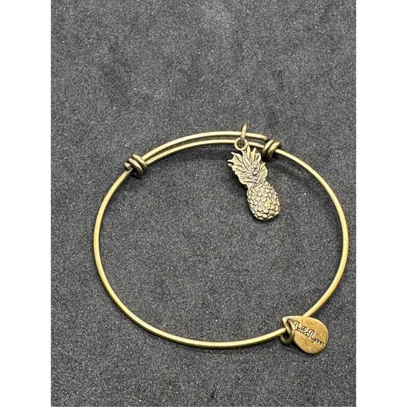 Nice Alex and Ani Pineapple Charm Bracelet silver tone, and Bella Ryann Expandab - Picture 4 of 12